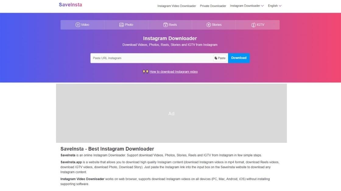 SaveInsta homepage screenshot